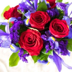 Meet your Posher, Divagirl